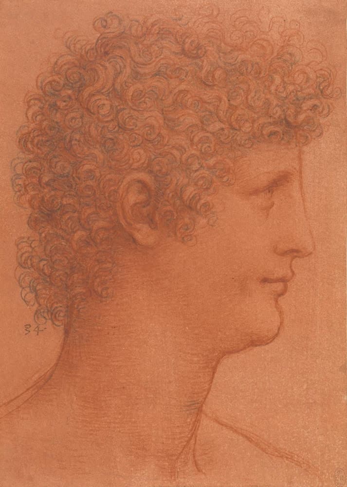 The head of a youth in profile